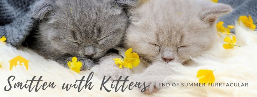 Smitten Kittens Sale 1