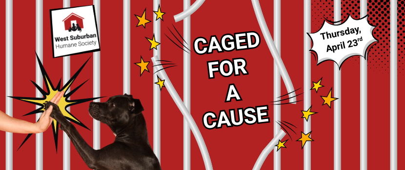 Caged for a Cause 830 x 350 px 1
