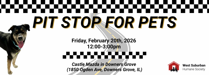 Castle Mazda Pop Up Event