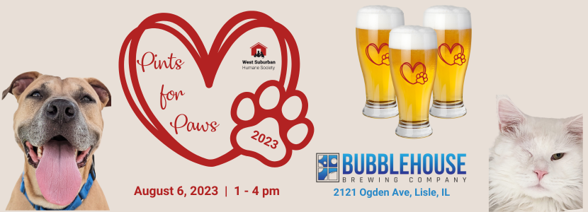 Copy of Pints for Paws 830 300 px