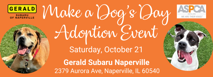Gerald Subaru Adoption Event