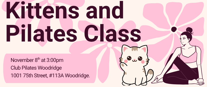 Kittens and Pilates 1