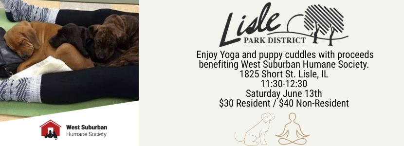 Lislepdyoga