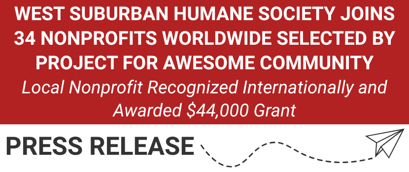 Project for Awesome Press Release