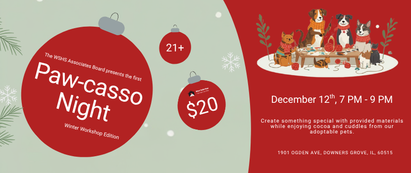 Paw casso Night Event Page 830 x 350 px