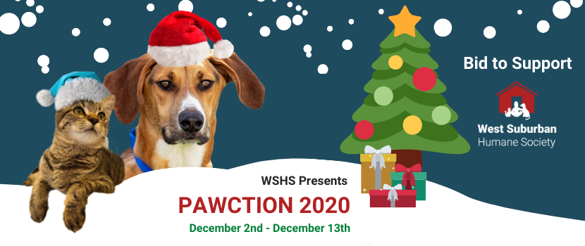 Pawction 2020 Event Size