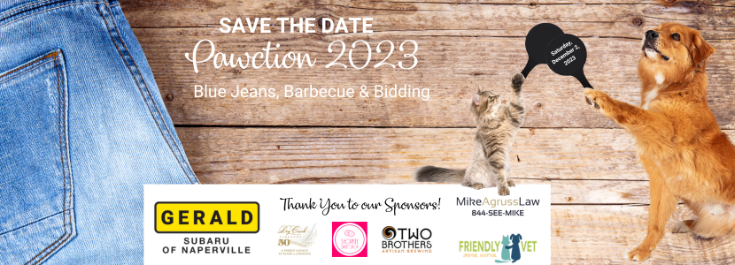 Pawction 2023