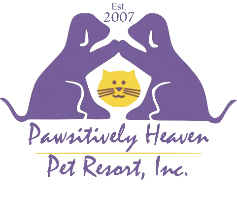 Pawsitively Pets logo