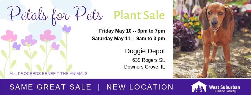 Plant Sale 2019 2