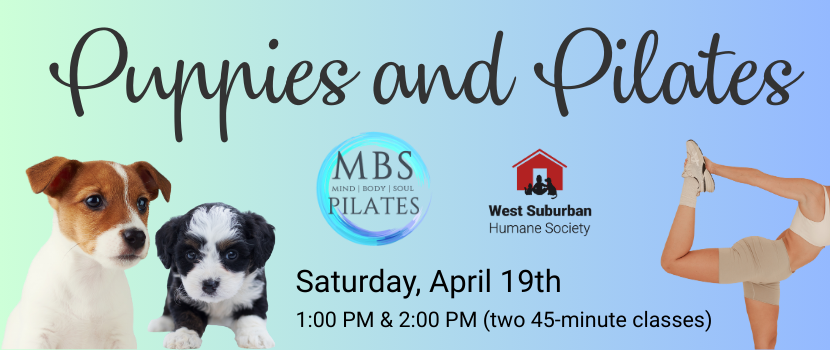 Puppies and Pilates