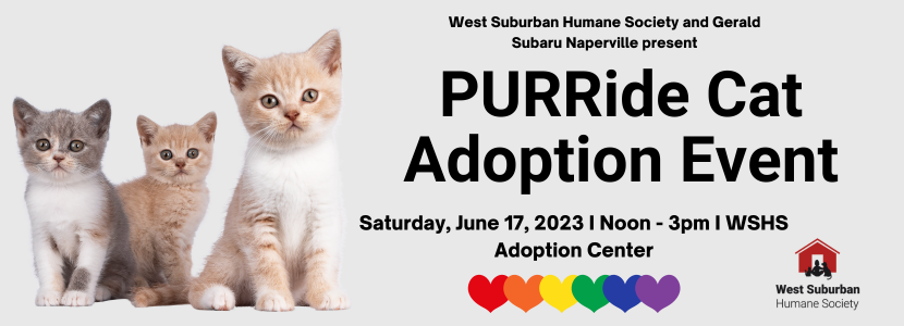 Purride Adoption Event