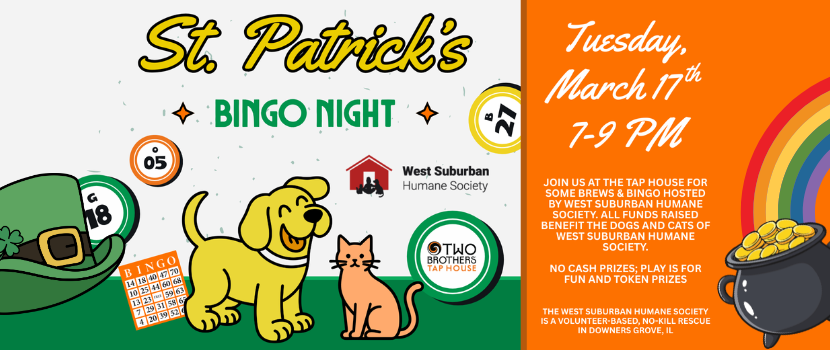 St. Patricks Day Bingo Night