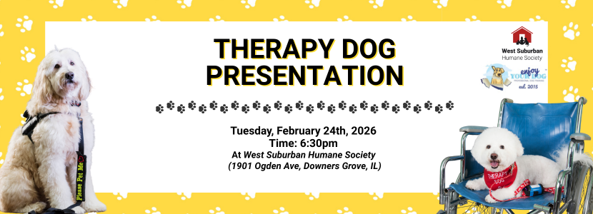 Therapy Dog Presentation