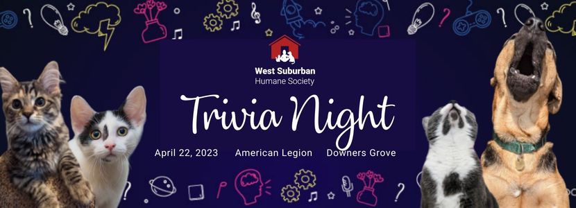 Trivia Night 002