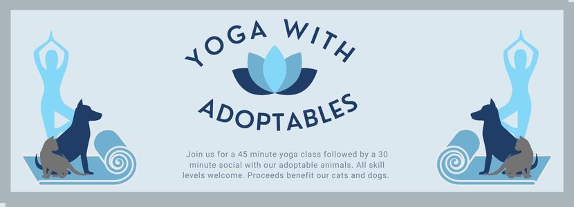 Yoga with Adoptables