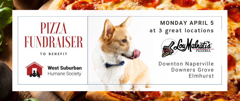 lmalnati pizza night