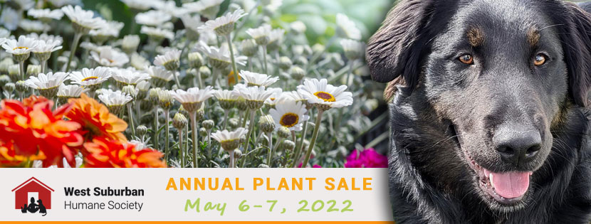 Plant Sale 2022