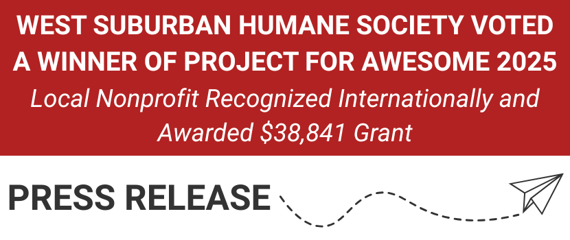 Project for Awesome Press Release