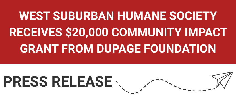 WSHS Receives Impact Grant 