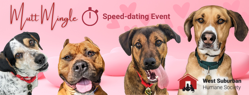 mutt mingle speed dating event