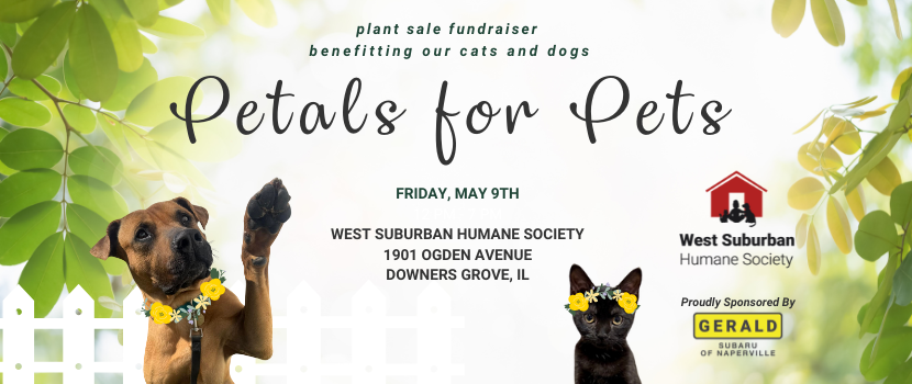 Plant Sale 2025 for Website 830 x 350 px 2