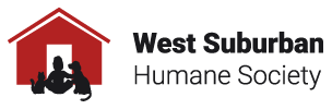WSHS Logo
