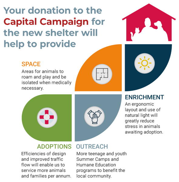 new shelter infographic