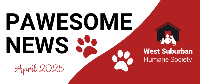 Pawesome News - April 2025